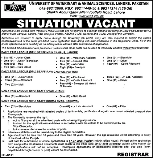 UVAS Jobs portal