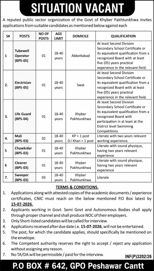 paec foundation jobs