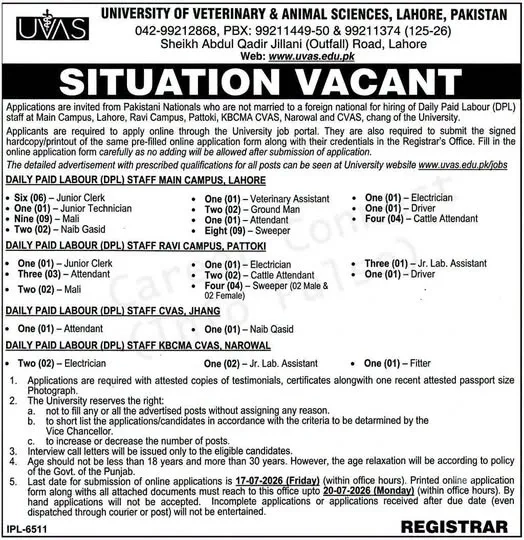 ppsc junior clerk jobs