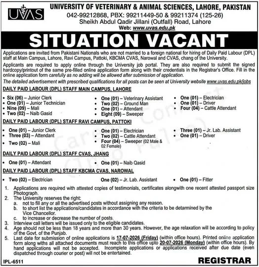 uvas lahore jobs