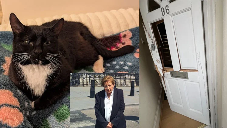 dr katherine theodotou rspca lawsuit