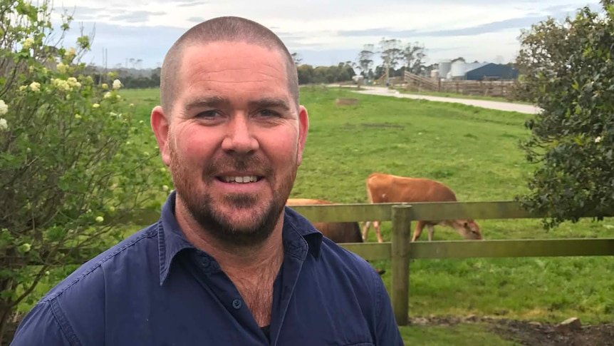 karl stokes cow headbutt report